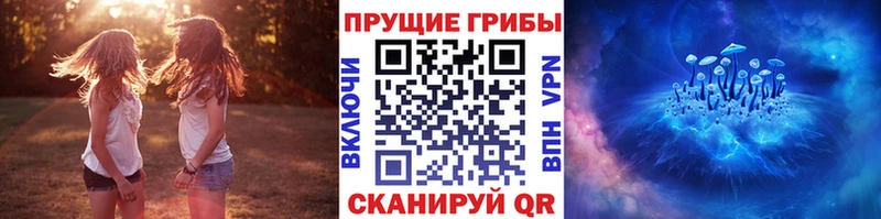 Псилоцибиновые грибы мицелий  Михайловка 